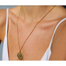 Load image into Gallery viewer, Double Coin Necklace
